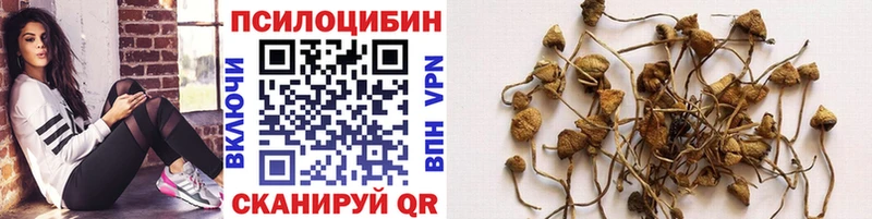 Псилоцибиновые грибы прущие грибы  наркошоп  Называевск 